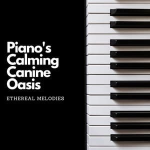 Piano's Calming Canine Oasis: Ethereal Melodies - Calming Piano Music