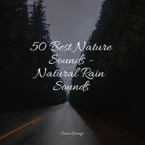 50 Best Nature Sounds - Natural Rain Sounds - Chakra Balancing Sound Therapy