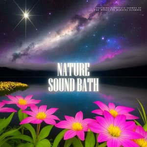 Nature Sound Bath - Soothing Nightfall Sounds of the Night for Mindful Slumber - Isabella Moon