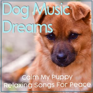 Dog Music Dreams: Calm My Puppy Relaxing Songs For Peace - Dog Music Dreams