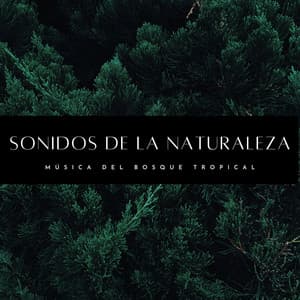 Sonidos De La Naturaleza: Música Del Bosque Tropical - Bosque Tropical