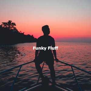 Funky Fluff - Chill Out Jazz Radio