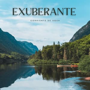 Exuberante Corriente De Agua - Corrientes de sueños