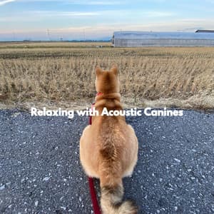 Relaxing with Acoustic Canines - Relaxing Dog Music Society