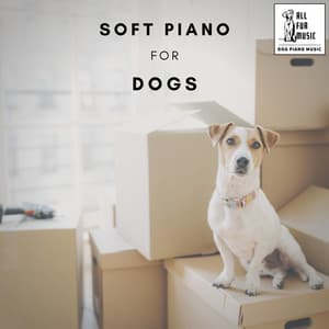 Soft Piano for Dogs - Jingle Cats