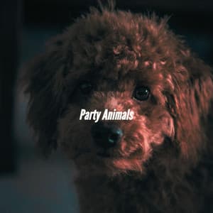Party Animals - Chill Cafe Music