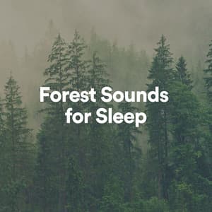 Forest Sounds for Sleep - Ambient Forest