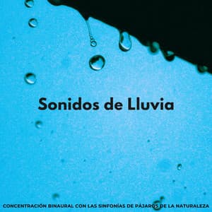 Sonidos De Lluvia: Concentración Binaural Con Las Sinfonías De Pájaros De La Naturaleza - Sonido de lluvia