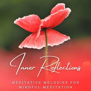Inner Reflections: Meditative Melodies for Mindful Meditation - Ensemble Reiki