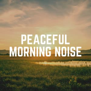 Peaceful Morning Noise - White Noise ASMR