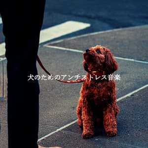 犬のためのアンチストレス音楽 - Jazz Classics Cafe