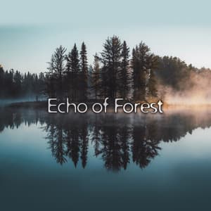 Echo of Forest - Lovely Nature Music Zone