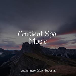 Ambient Spa Music - Master Meditação