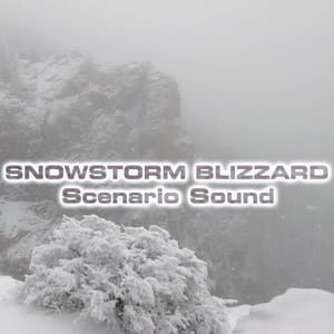 Snowstorm Blizzard Scenario Sound - Nature Scenario Sounds