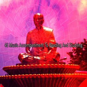45 Music Accompaniment To Reading And Studying - Relaxing Meditation Songs Divine