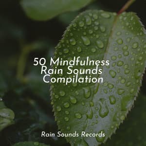 50 Mindfulness Rain Sounds Compilation - Deep Sleep Relaxation