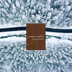 Ambient Library - Introspection04 - Peter Ries