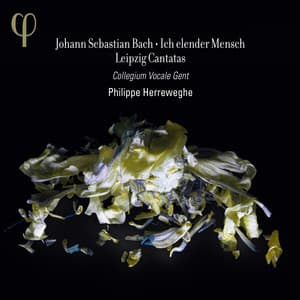 Bach: Ich elender Mensch & Leipzig Cantatas - Johann Sebastian Bach