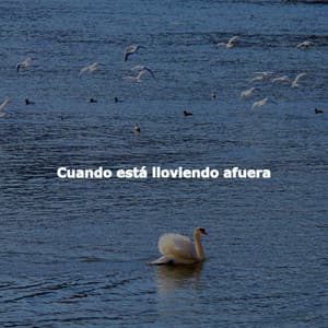 Cuando está lloviendo afuera - Luxury Hotel BGM