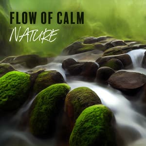 Flow of Calm Nature: Ultimate Relaxation with Birds & Water Sounds - Nature Sounds
