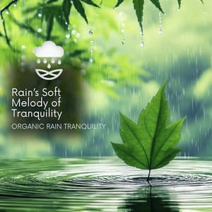 Rain’s Soft Melody of Tranquility - Organic Rain Tranquility