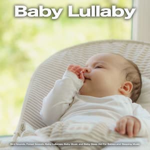 Baby Lullaby: Bird Sounds, Forest Sounds, Baby Lullabies, Baby Music and Baby Sleep Aid For Babies and Sleeping Music - Baby Bedtime Lullaby