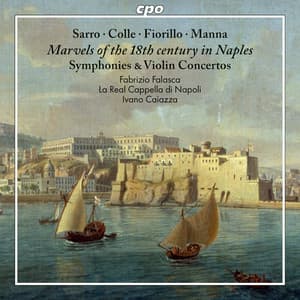 Concertos & Symphonies of the 18th Century - Fabrizio Falasca