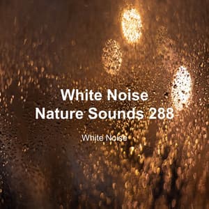 White Noise 288 - White Noise