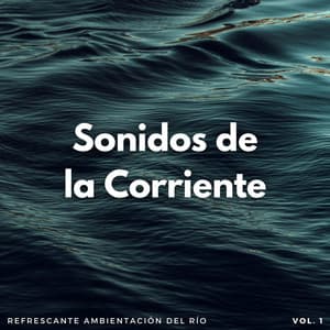 Sonidos De La Corriente: Refrescante Ambientación Del Río Vol. 1 - Sonidos de agua dulce