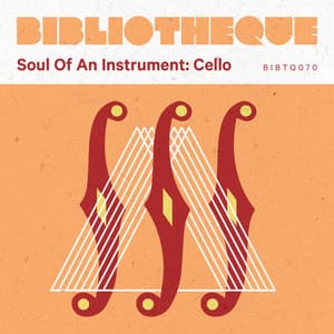 Soul of An Instrument: Cello - Chris Doney