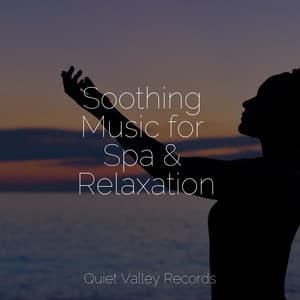 Soothing Music for Spa & Relaxation - Hipnose Natureza Sons Coleção