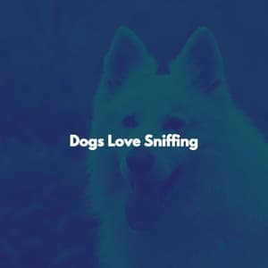 Dogs Love Sniffing - Coffee Jazz
