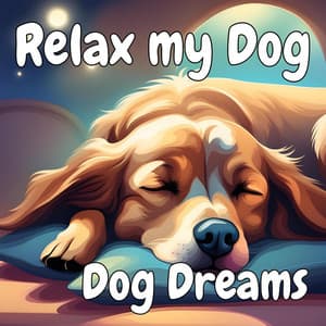 Relax My Dog - Dog Dreams