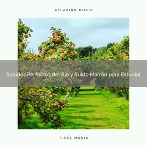 Sonidos Perfectos del Río y Ruido Marrón para Estudiar - Ruido Blanco