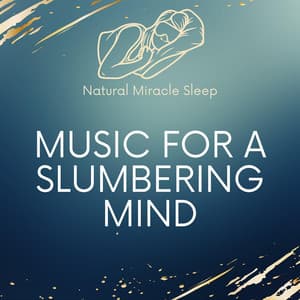 Music For A Slumbering Mind - Natural Miracle Sleep