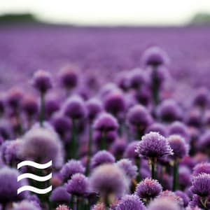 No Fade Good Night Pink Noise - Pink Noise Baby Sleep