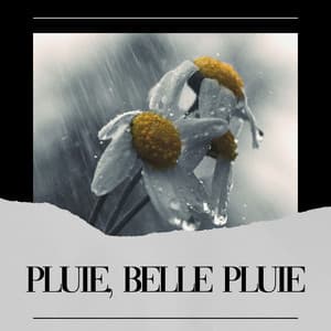 Pluie, Belle Pluie - Pluie et tonnerre