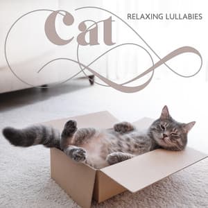 Cat Relaxing Lullabies - Relaxing Music