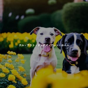 チル・アウト・ドッグズ・アット・ホーム - Smooth Jazz Deluxe