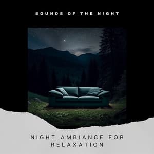 Night Ambiance for Relaxation - Sounds of the Night