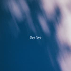 Cracks in the Vinyl Sky - Elena Torne