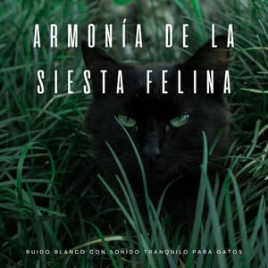 Armonía De La Siesta Felina: Ruido Blanco Con Sonido Tranquilo Para Gatos - Atmósferas de ruido blanco
