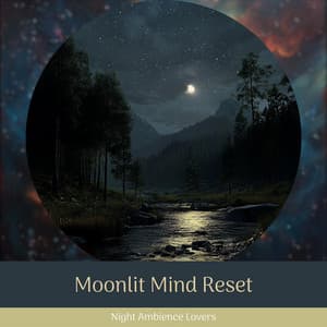 Moonlit Mind Reset - Night Ambience Lovers