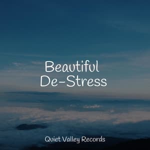 Beautiful De-Stress - Weather Factory