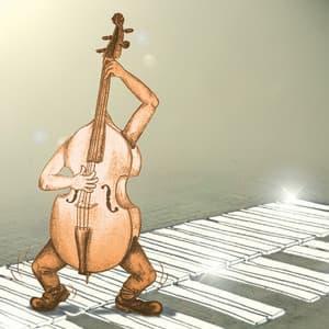 Vibes & Walking Bass Beds - Otto Sieben