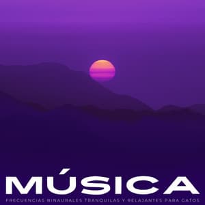 Música: Frecuencias Binaurales Tranquilas Y Relajantes Para Gatos - Guía Binaural