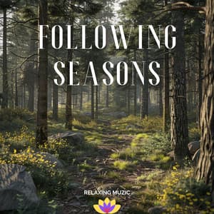 Following Seasons - Relaxing Muzic