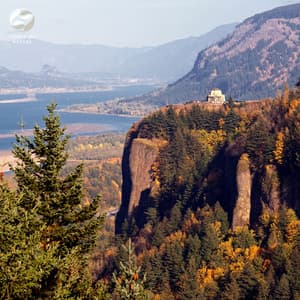 Birdsong Meditation By The River - Mystic Nature