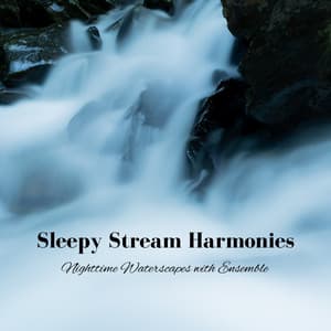 Sleepy Stream Harmonies: Nighttime Waterscapes with Ensemble - Sleep Music