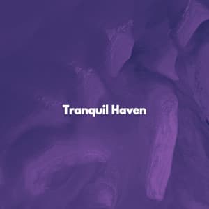 Tranquil Haven - New York Jazz Trio